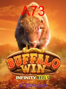 BuffaloWin